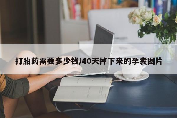 卖打胎药的联系方式或微信打胎药需要多少钱/40天掉下来的孕囊图片