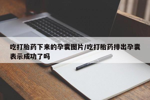 卖打胎药的联系方式或微信吃打胎药下来的孕囊图片/吃打胎药排出孕囊表示成功了吗